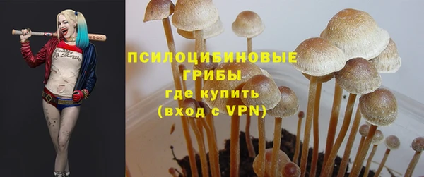 гидра Волоколамск