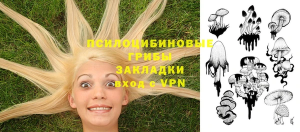 стаф Новозыбков