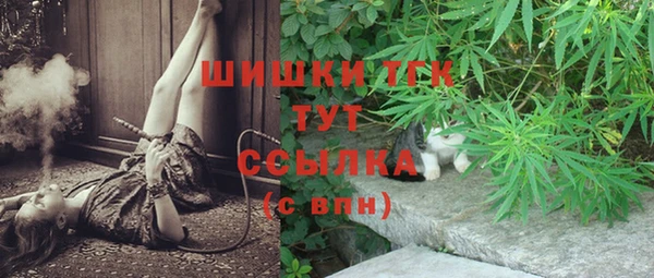 гидра Волоколамск