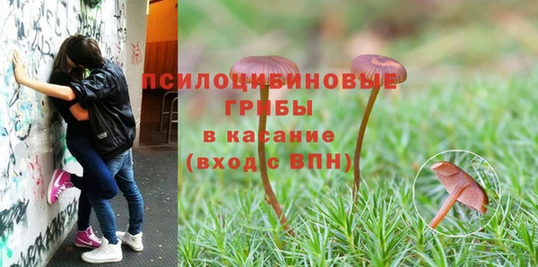 дурь Володарск