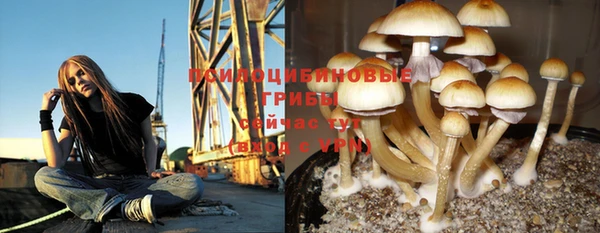 эйфоретик Волосово