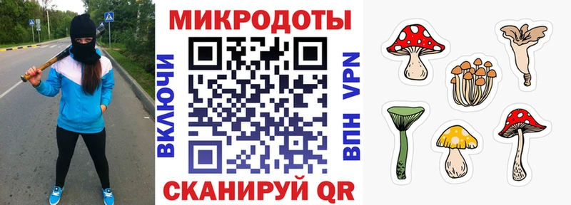 закладки Колпашево Галлюциногенные грибы MAGIC MUSHROOMS
